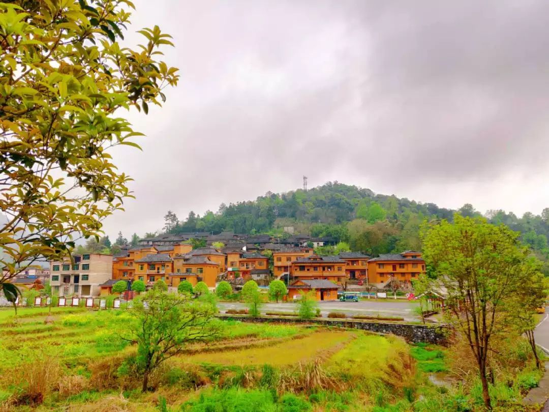 董事長唐樹松 尋紅色記憶，憶鄧恩銘波瀾一生